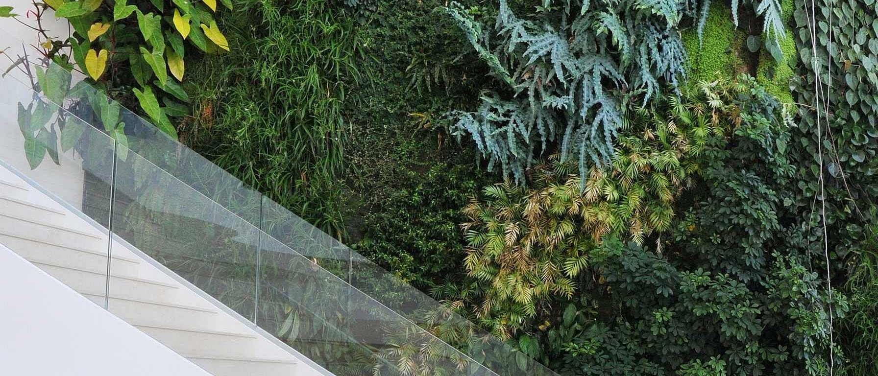 stairs with nature