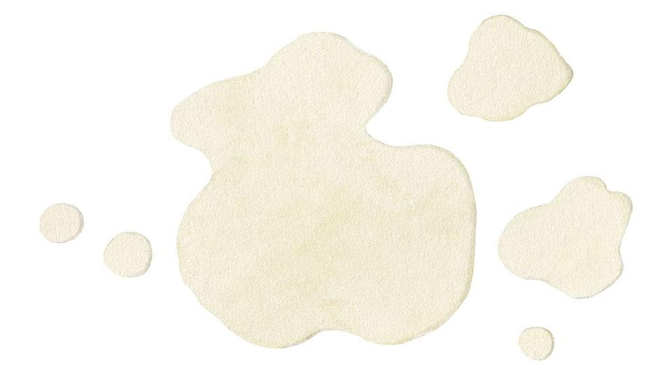 PCA Glyceryl Oleate - Weleda